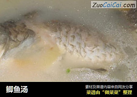 鲫鱼汤