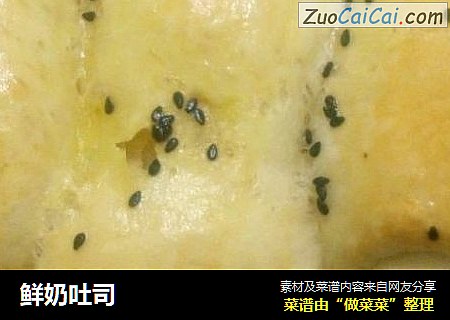 鲜奶吐司