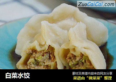 白菜水饺