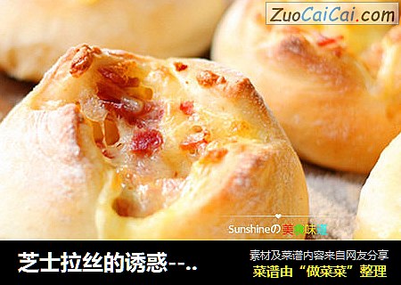 芝士拉丝的诱惑-----全麦熔岩面包