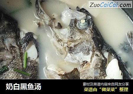 奶白黑鱼汤