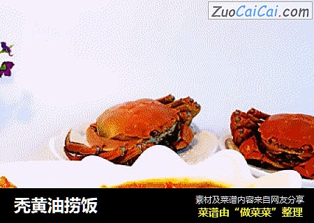 秃黄油捞饭