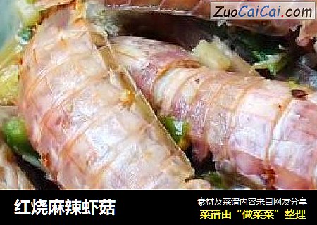 红烧麻辣虾菇