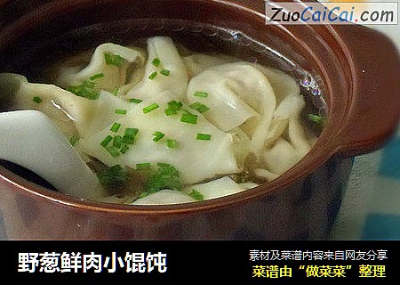 野葱鲜肉小馄饨