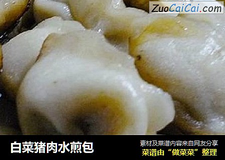 白菜猪肉水煎包