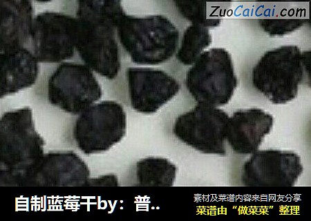 自制蓝莓干by：普蓝高科蓝莓美食特约撰稿人