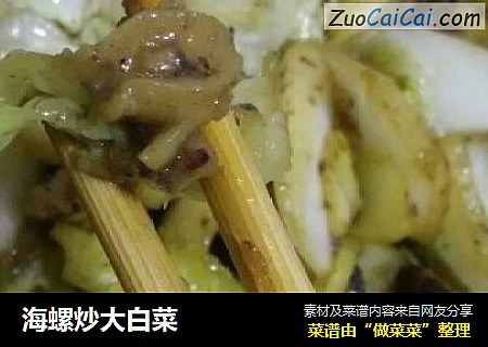 海螺炒大白菜