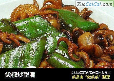 尖椒炒望潮