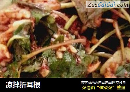 凉拌折耳根