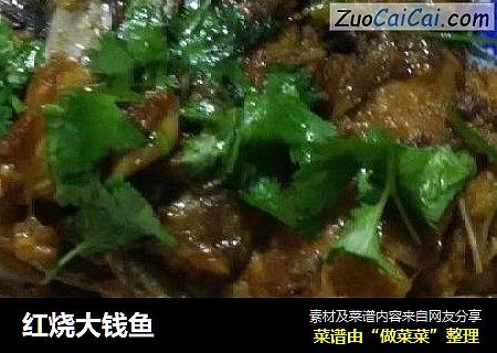红烧大钱鱼