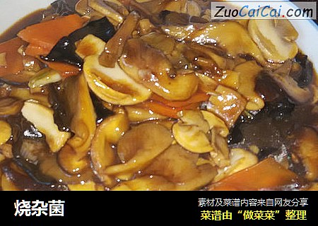 烧杂菌