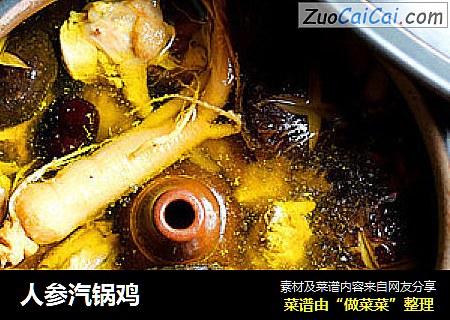 人参汽锅鸡