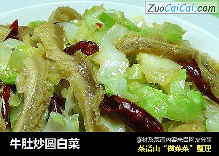 牛肚炒圆白菜