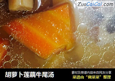 胡萝卜莲藕牛尾汤