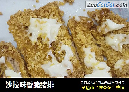 沙拉味香脆猪排