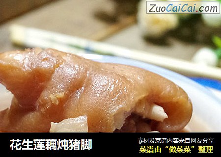 花生莲藕炖猪脚