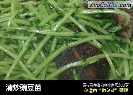 清炒豌豆苗