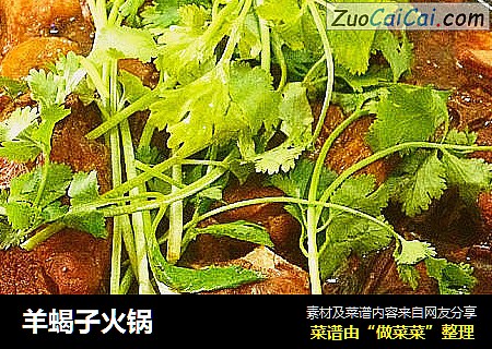 羊蝎子火锅