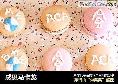 感恩马卡龙