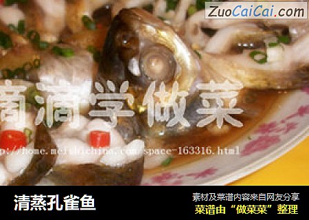 清蒸孔雀鱼