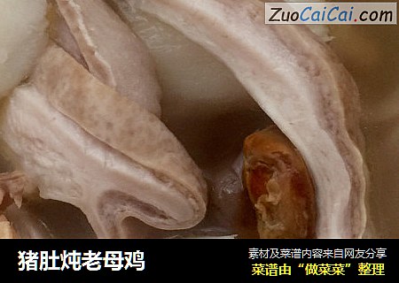 猪肚炖老母鸡