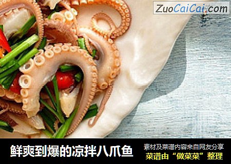 鲜爽到爆的凉拌八爪鱼