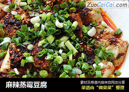 麻辣蒸霉豆腐