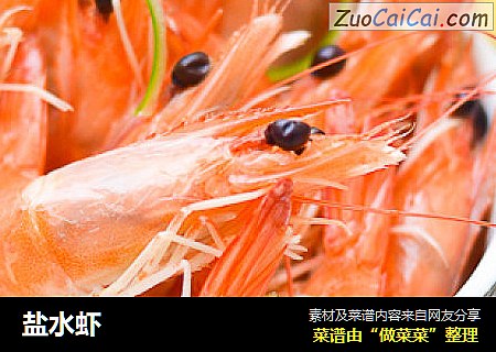 盐水虾