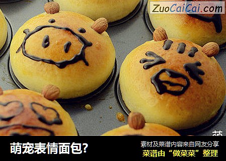 萌宠表情面包?