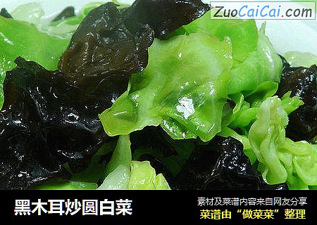 黑木耳炒圆白菜