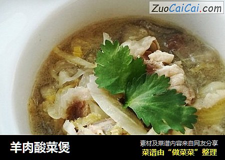 羊肉酸菜煲