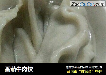 番茄牛肉饺