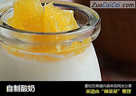 自制酸奶