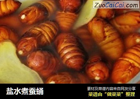 盐水煮蚕蛹