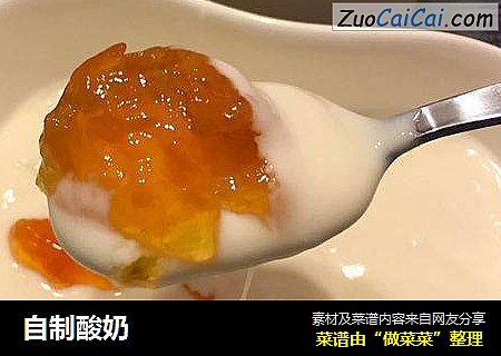 自制酸奶