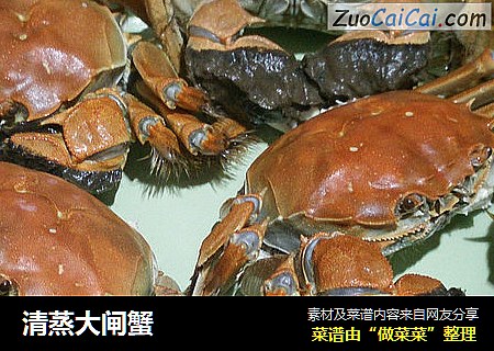 清蒸大闸蟹
