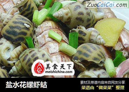 盐水花螺虾蛄