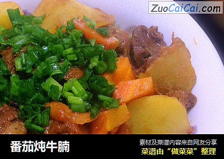 番茄炖牛腩
