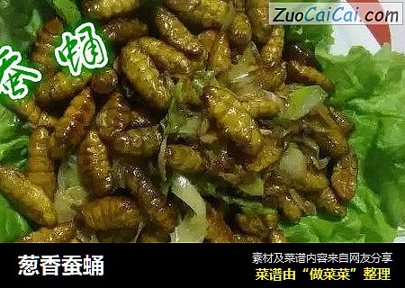 葱香蚕蛹