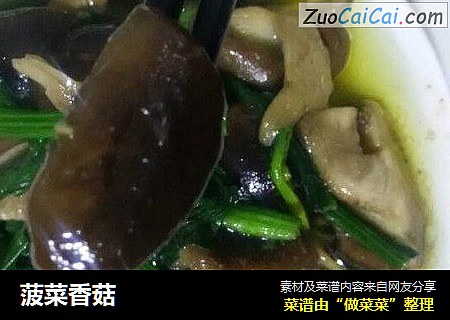 菠菜香菇