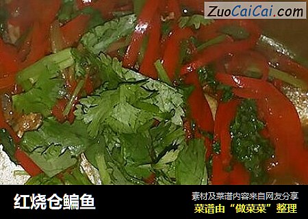 红烧仓鳊鱼