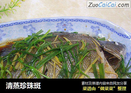 清蒸珍珠斑
