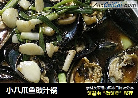 小八爪鱼豉汁锅