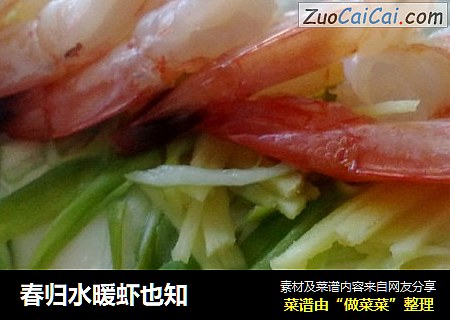 春归水暖虾也知