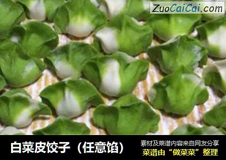 白菜皮饺子（任意馅）