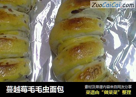 蔓越莓毛毛虫面包