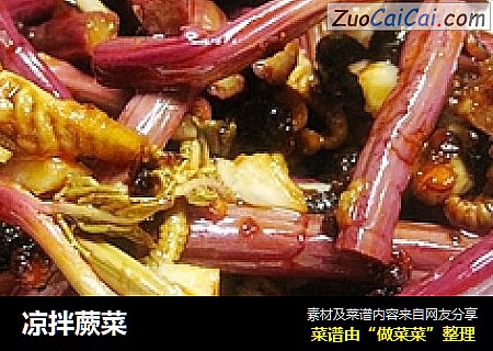 凉拌蕨菜