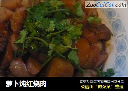 萝卜炖红烧肉