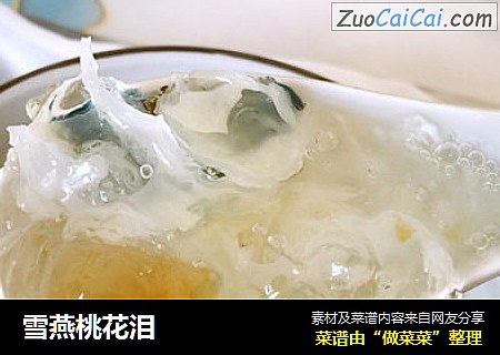 雪燕桃花泪