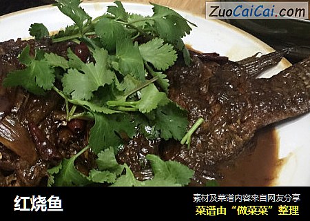 红烧鱼